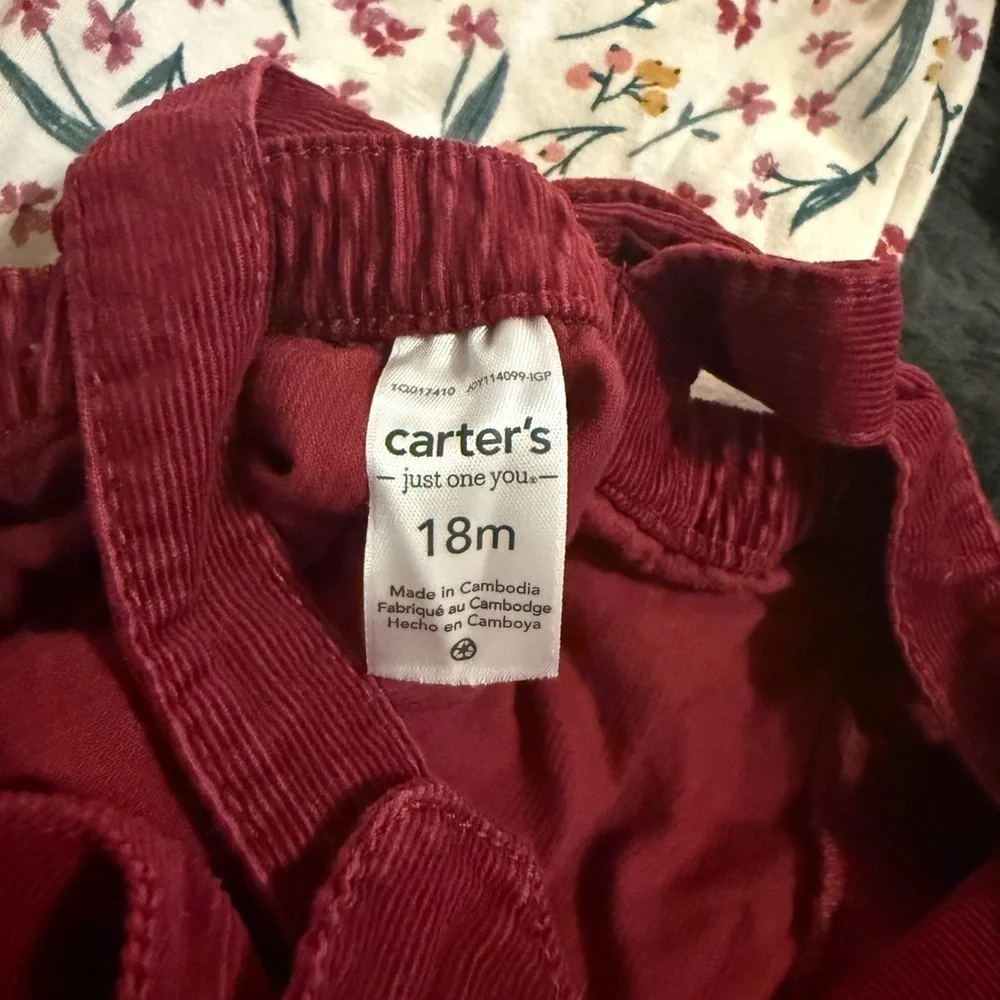 Carter's Maroon and Floral Casual Dress